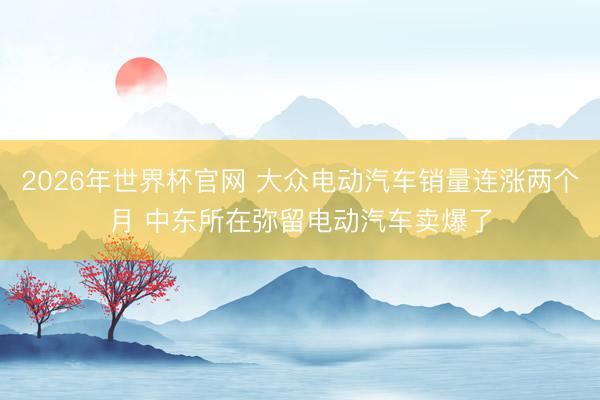 2026年世界杯官网 大众电动汽车销量连涨两个月 中东所在弥留电动汽车卖爆了