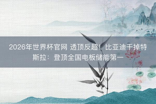 2026年世界杯官网 透顶反超！比亚迪干掉特斯拉：登顶全国电板储能第一