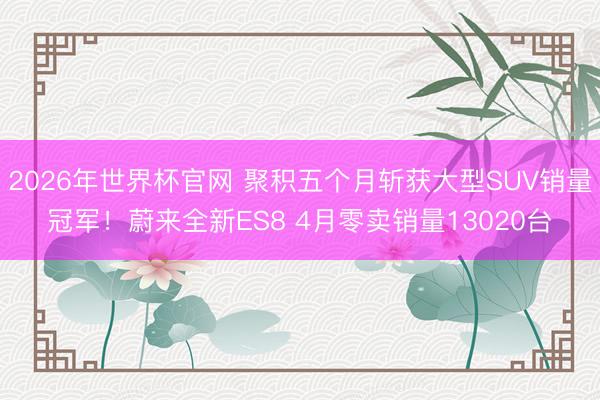 2026年世界杯官网 聚积五个月斩获大型SUV销量冠军!蔚来全新ES8 4月零卖销量13020台