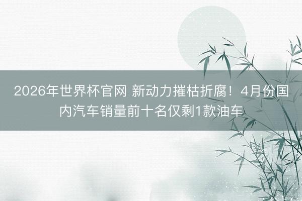 2026年世界杯官网 新动力摧枯折腐！4月份国内汽车销量前十名仅剩1款油车
