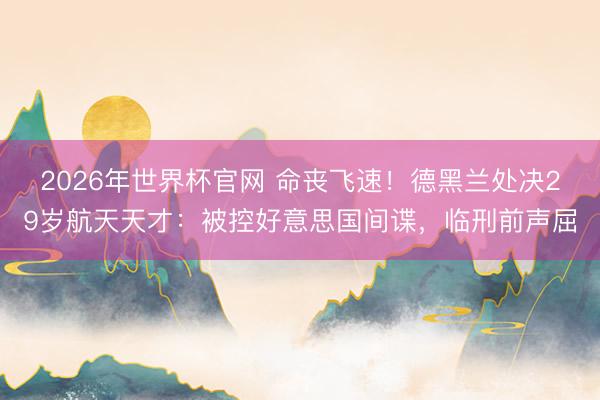 2026年世界杯官网 命丧飞速！德黑兰处决29岁航天天才：被控好意思国间谍，临刑前声屈