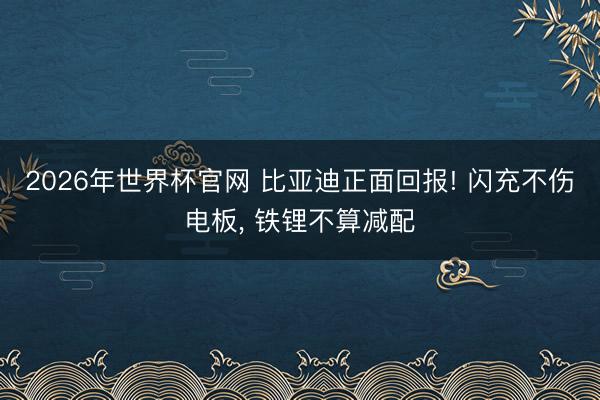2026年世界杯官网 比亚迪正面回报! 闪充不伤电板， 铁锂不算减配