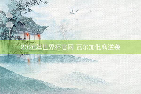 2026年世界杯官网 瓦尔加仳离逆袭