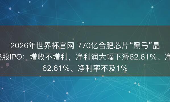 2026年世界杯官网 770亿合肥芯片“黑马”晶书籍成冲刺港股IPO:增收不增利,净利润大幅下滑62.61%、净利率不及1%